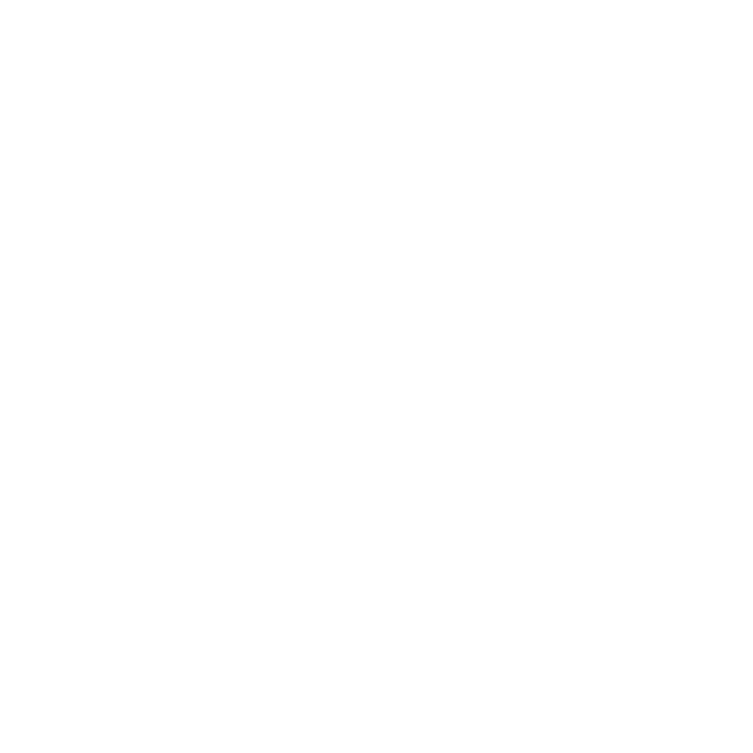 Phone Icon